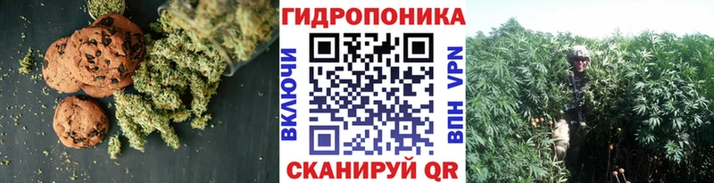 купить наркотики цена  Верея  Canna-Cookies марихуана 