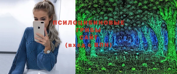 гашиш Арсеньев