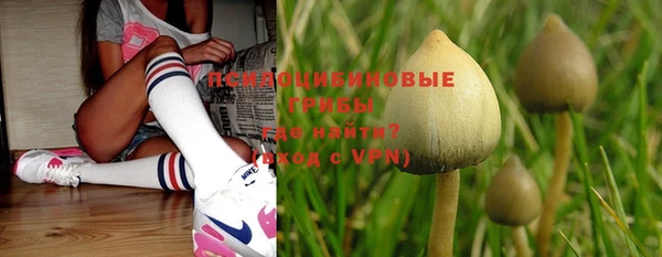 ГАЛЛЮЦИНОГЕННЫЕ ГРИБЫ Баксан