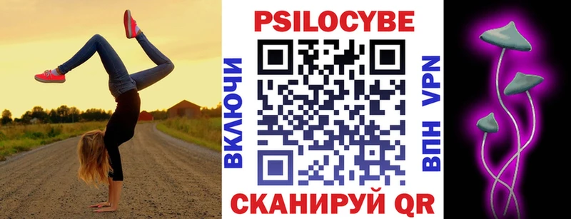 Псилоцибиновые грибы GOLDEN TEACHER  как найти закладки  Верея 